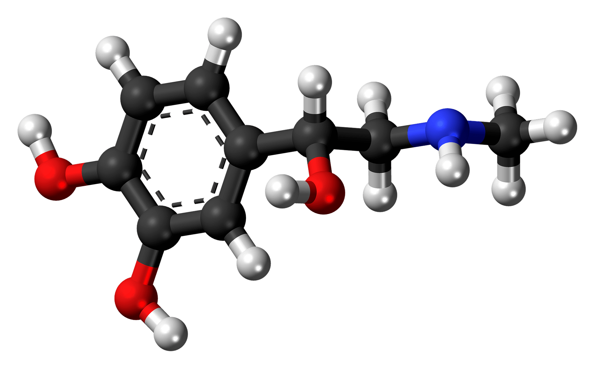 Hormonal Reactions Triggered by Cold Showers